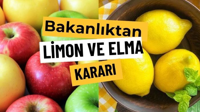 Mersinin Limon Krizi Tm Trkiyeyi Etkiliyor: hracatta Yeni Karar
