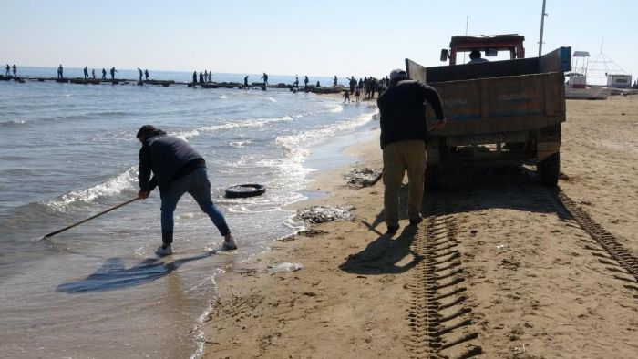 Zehirli Sakn Dokunmayn: Denizanalar Sahilden Toplanyor