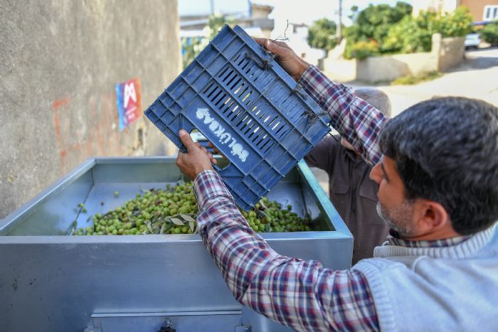 reticilerine zeytin boylama makinesi destei