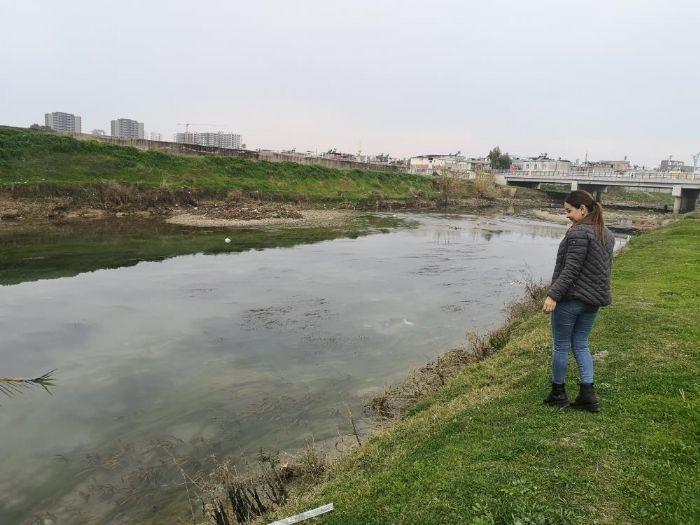 Tarsus’ta Krmz Akan Berdan Nehri Normale Dnd