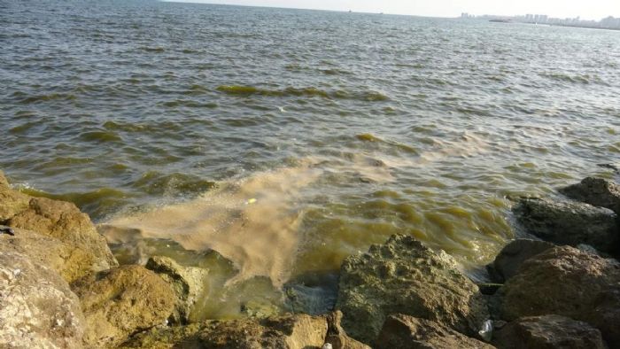 Mersin Sahillerinde Artan Kirlilik Endie Yaratt: Uzmanlardan Uyar