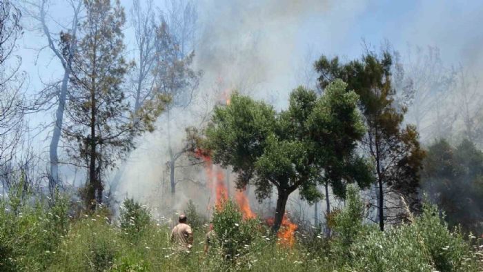 Antalya Valiliinden orman yangnlarn nlemek iin kritik genelge