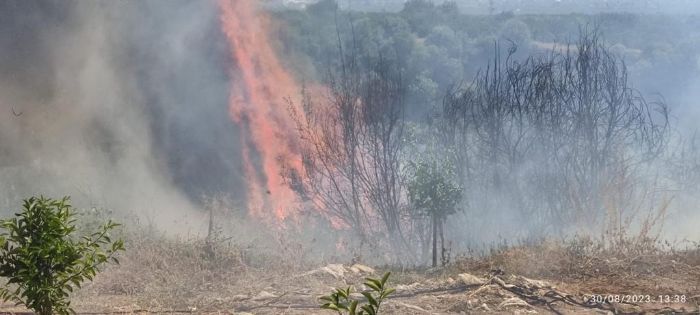 Hatay`da makilik arazi yangn sndrld