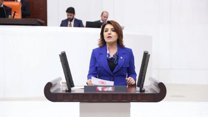 Glcan Ktan klim Kanunu Tepkisi