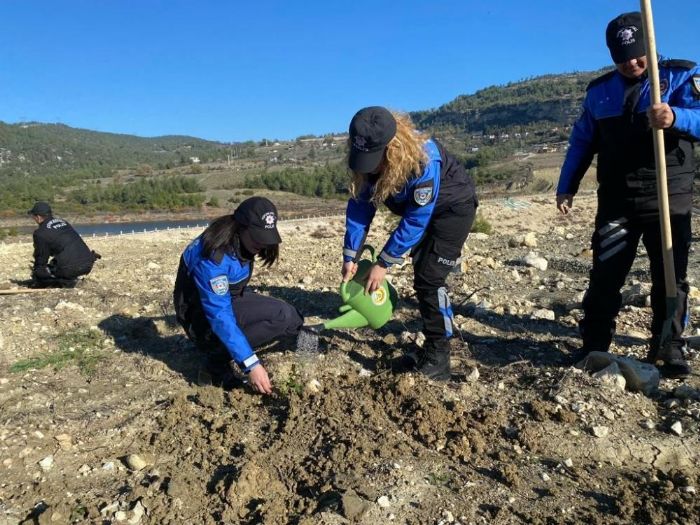 Bin Fstkam ve Harnup Fidan Toprakla Bulutu