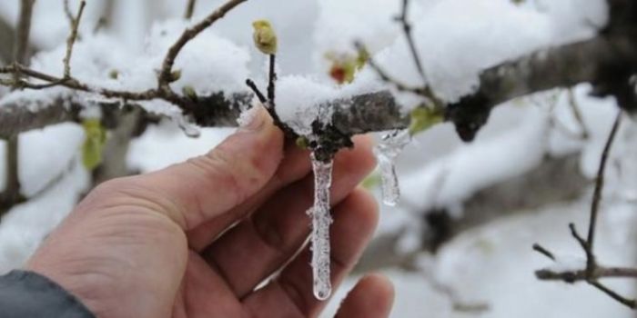 Meteorolojiden zirai don uyars