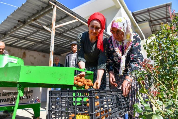 Silifkeli ceviz reticilerinin kabuk soyma derdi sona erdi