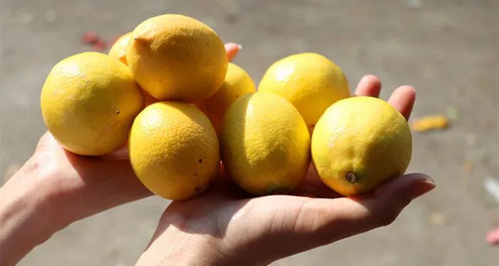 Limon Fiyatlar Rekor Seviyeye Ulat