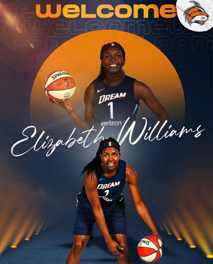 BK Mersin Yeniehir Belediyesi, Elizabeth Williams transfer etti