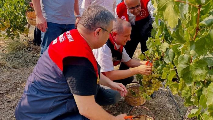 Tarsusta zm Hasad Rzgar: Blge Tarm in Kritik Adm!