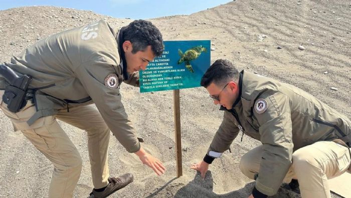 Mersin Polisi Caretta Carettalarn reme Alanlarna Uyar Levhalar Ast